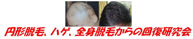 �~�`�E�сA�n�Q�A�S�g�E�яǂ���̉񕜌�����
